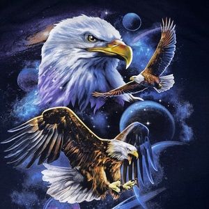 American Bald Eagle Shirt RARE